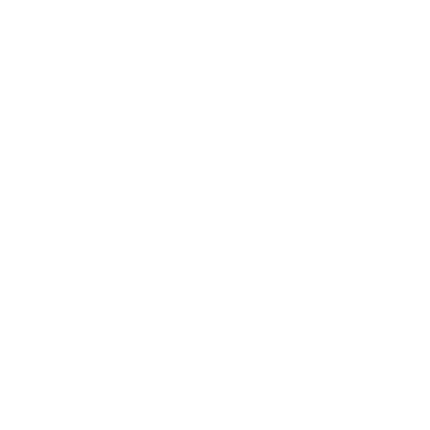 Next Level Exteriors